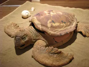 Dafni Exhibition Center Sea Turtle Caretta Caretta  - ZAKYNTHOS