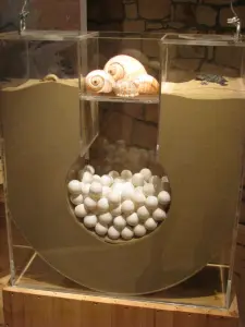 Dafni Exhibition Center Sea Turtle Caretta Caretta  - ZAKYNTHOS