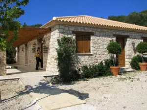 Dafni Exhibition Center Sea Turtle Caretta Caretta  - ZAKYNTHOS