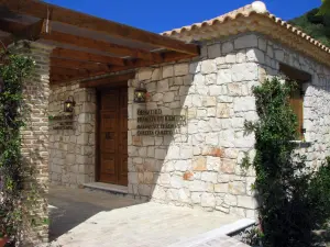 Dafni Exhibition Center Sea Turtle Caretta Caretta  - ZAKYNTHOS