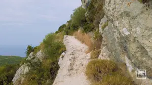 Damianos Cave  - ZAKYNTHOS