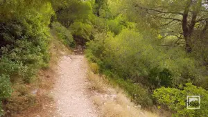 Damianos Cave  - ZAKYNTHOS