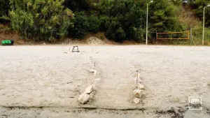 Gaidaros Beach  - ZAKYNTHOS