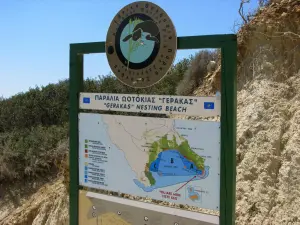 Gerakas Beach  - ZAKYNTHOS