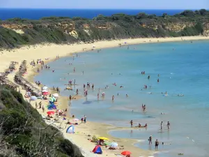 Gerakas Beach  - ZAKYNTHOS