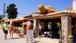 Gerakas Beach  - ZAKYNTHOS