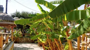 Gerakas Beach  - ZAKYNTHOS