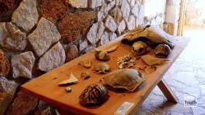 Gerakas Beach  - ZAKYNTHOS