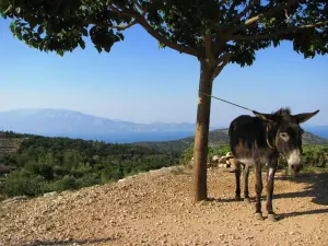 Korithi  - ZAKYNTHOS