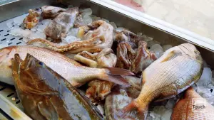 Porto Limnionas Beach  - ZAKYNTHOS