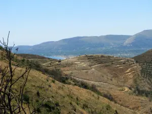 Skopos Hill  - ZAKYNTHOS