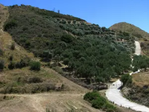 Skopos Hill  - ZAKYNTHOS