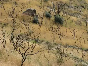 Skopos Hill  - ZAKYNTHOS
