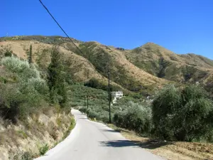 Skopos Hill  - ZAKYNTHOS