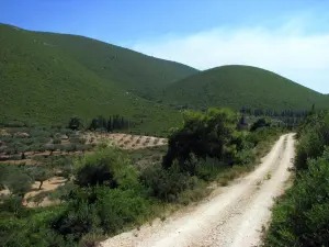 Xigia Beach  - ZAKYNTHOS