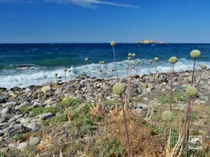 Keramos Beach  - CHIOS