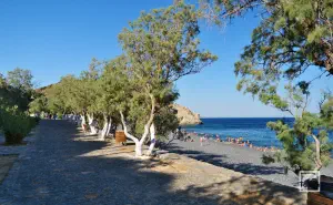 Mavra Volia Beach  - CHIOS