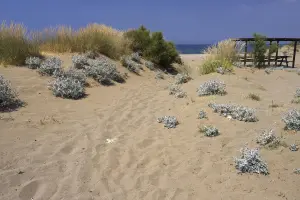 Kampos Beach  - LESVOS