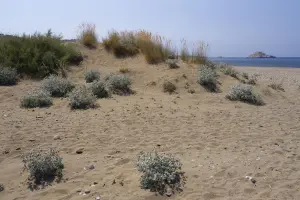 Kampos Beach  - LESVOS