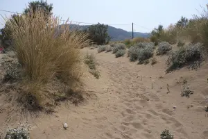 Kampos Beach  - LESVOS