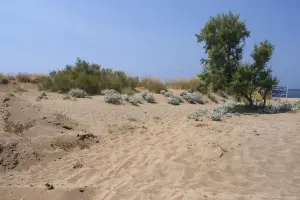 Kampos Beach  - LESVOS