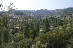 Pelopi  - LESVOS