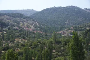 Pelopi  - LESVOS
