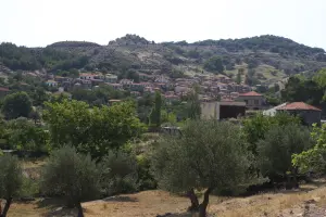 Pelopi  - LESVOS