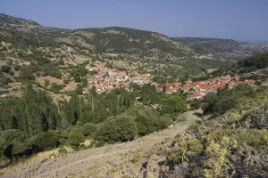 Pelopi  - LESVOS