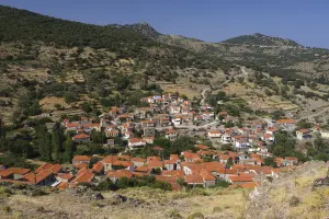 Pelopi  - LESVOS