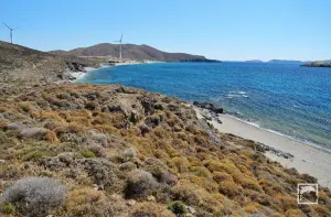 Agia Markella Beach  - PSARA