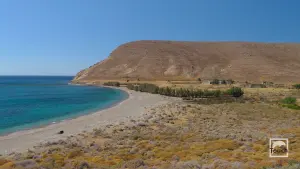 Archontiki Beach  - PSARA