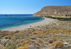 Archontiki Beach  - PSARA