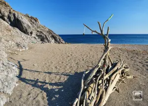 Limnonaria Beach  - PSARA