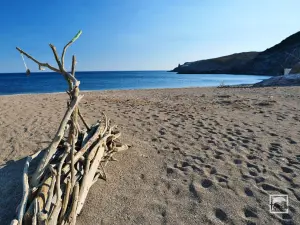 Limnonaria Beach  - PSARA