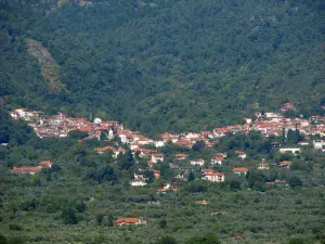 Potamia  - THASSOS
