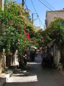 Egina Town  - AEGINA