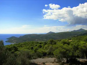 Temple of Aphaia  - AEGINA