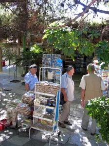 Temple of Aphaia  - AEGINA