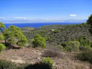 Temple of Aphaia  - AEGINA