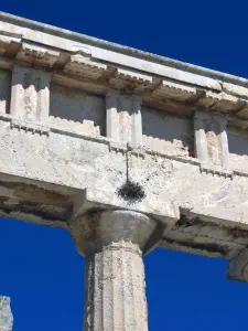 Temple of Aphaia  - AEGINA