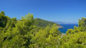 Agii Anargyri Church  - ALONISSOSI