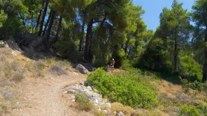 Agii Anargyri Church  - ALONISSOSI