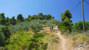 Agii Anargyri Church  - ALONISSOSI
