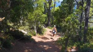 Agii Anargyri Church  - ALONISSOSI