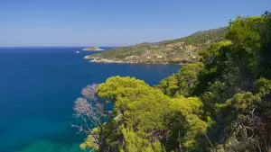 Agii Anargyri Church  - ALONISSOSI