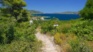 Agios Petros Beach  - ALONISSOSI