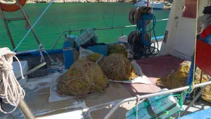 Gerakas Beach  - ALONISSOSI