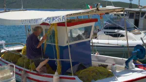 Kalamakia  - ALONISSOSI