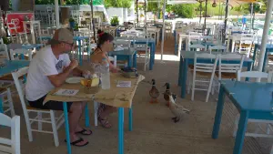 Kalamakia  - ALONISSOSI